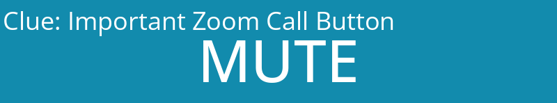 Important Zoom Call Button