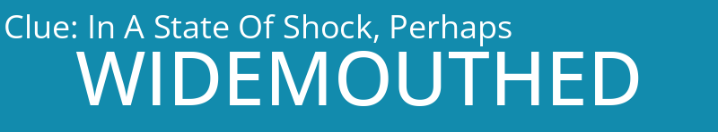In A State Of Shock, Perhaps