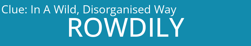 In A Wild, Disorganised Way