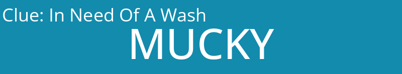 In Need Of A Wash