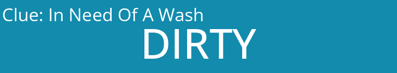 In Need Of A Wash