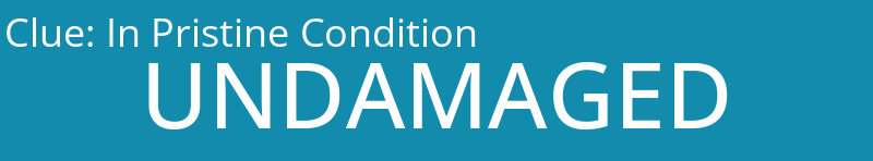 In Pristine Condition