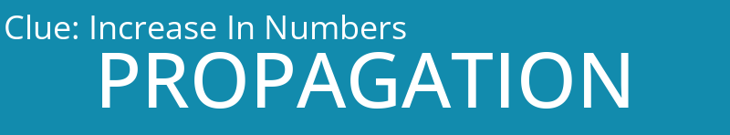 Increase In Numbers