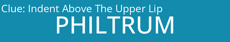 Indent Above The Upper Lip