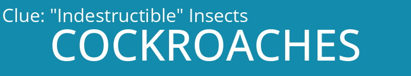 "Indestructible" Insects