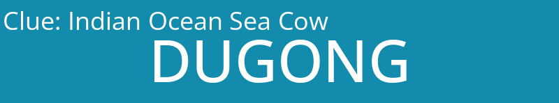 Indian Ocean Sea Cow