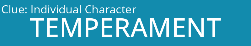 Individual Character