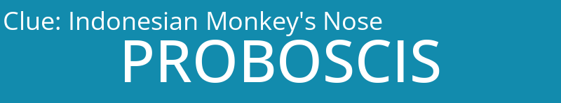 Indonesian Monkey's Nose