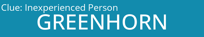Inexperienced Person