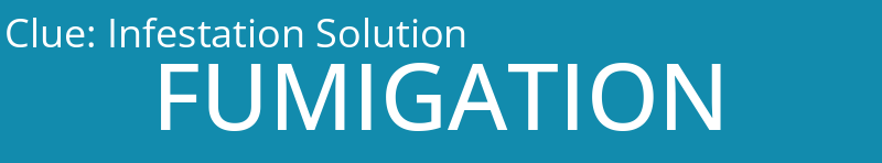 Infestation Solution
