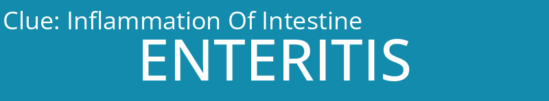 Inflammation Of Intestine