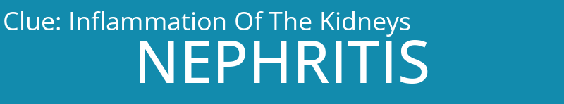 Inflammation Of The Kidneys