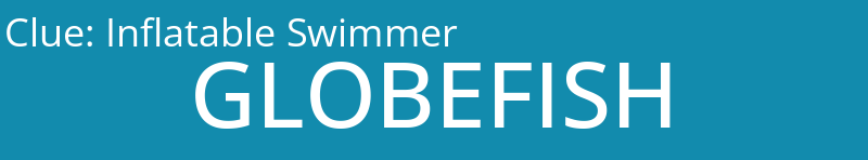 Inflatable Swimmer