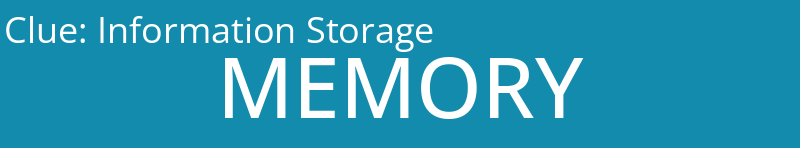Information Storage