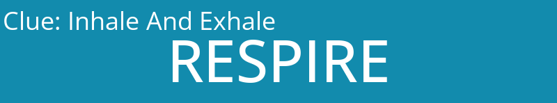 Inhale And Exhale