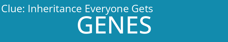 Inheritance Everyone Gets