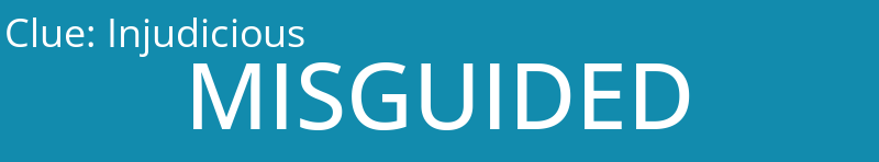 Injudicious