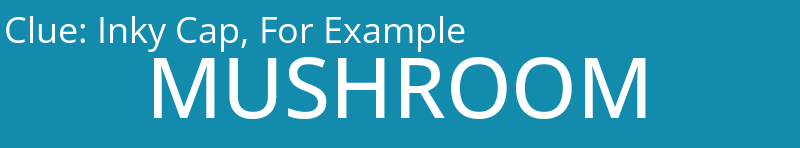 Inky Cap, For Example