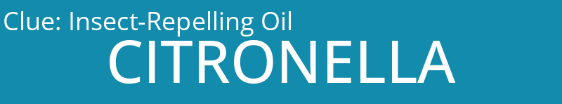 Insect-Repelling Oil