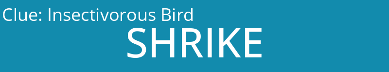 Insectivorous Bird