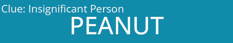 Insignificant Person