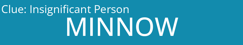 Insignificant Person