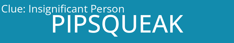 Insignificant Person