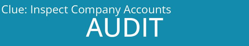 Inspect Company Accounts