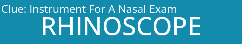 Instrument For A Nasal Exam