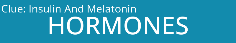 Insulin And Melatonin