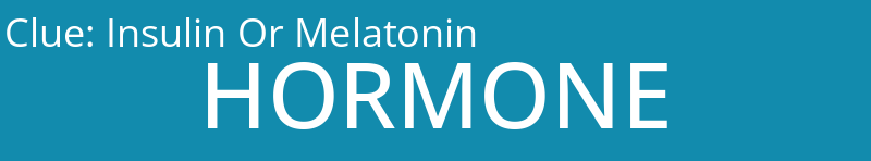 Insulin Or Melatonin