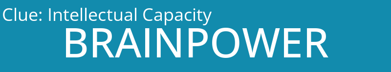 Intellectual Capacity