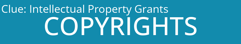 Intellectual Property Grants