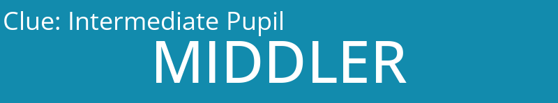 Intermediate Pupil