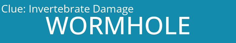 Invertebrate Damage