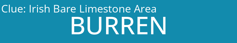 Irish Bare Limestone Area
