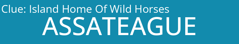 Island Home Of Wild Horses