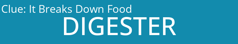 It Breaks Down Food