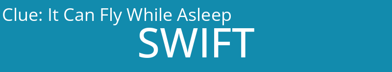 It Can Fly While Asleep