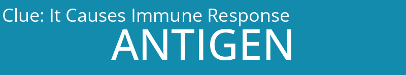 It Causes Immune Response