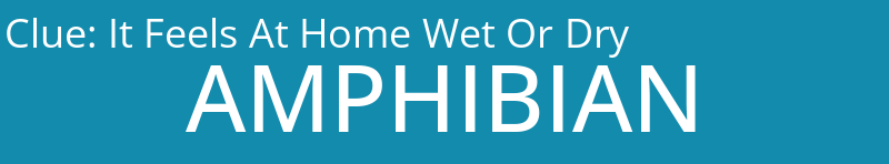 It Feels At Home Wet Or Dry