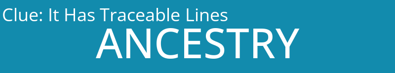 It Has Traceable Lines