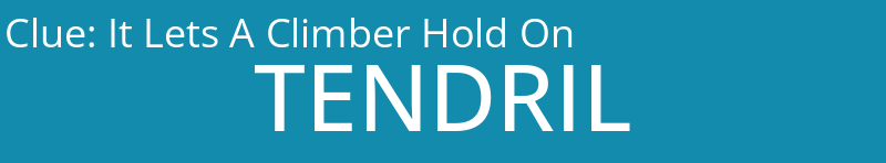 It Lets A Climber Hold On