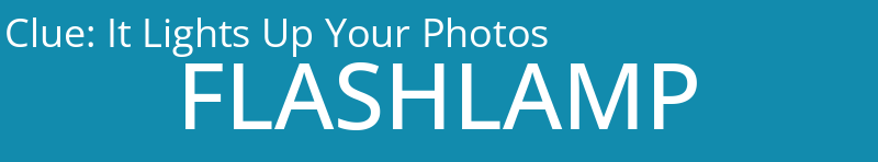 It Lights Up Your Photos