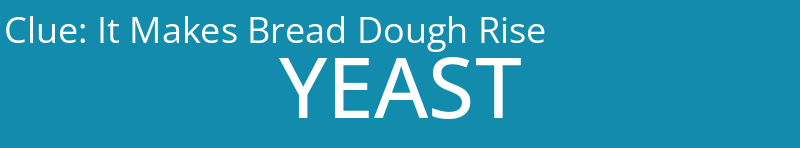 It Makes Bread Dough Rise
