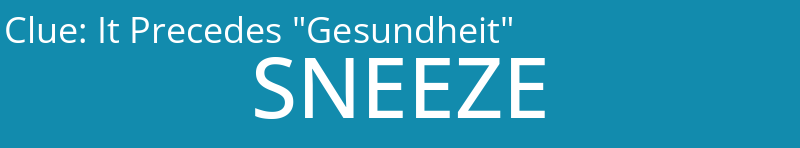 It Precedes "Gesundheit"