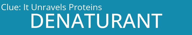 It Unravels Proteins