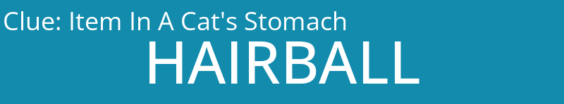 Item In A Cat's Stomach