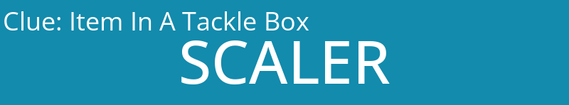 Item In A Tackle Box