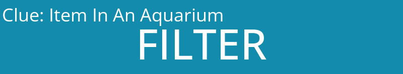 Item In An Aquarium